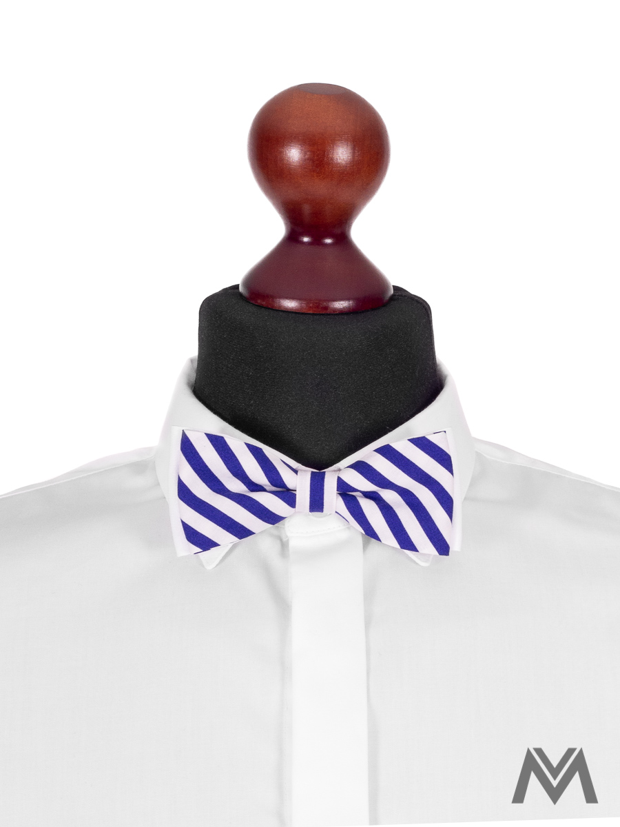 elegancka, pańska, mucha, jasnoniebieska, prezent, praktyczna