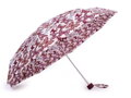 Esernyő pillangómintával 530983